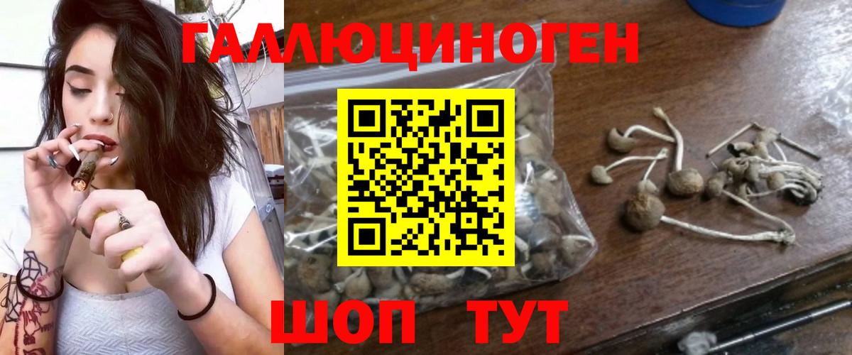 Псилоцибиновые грибы мицелий  Вход с VPN  наркота  Клин  Псилоцибиновые грибы MAGIC MUSHROOMS 