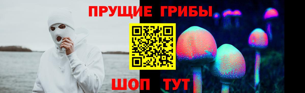 Псилоцибиновые грибы Magic Shrooms Клин